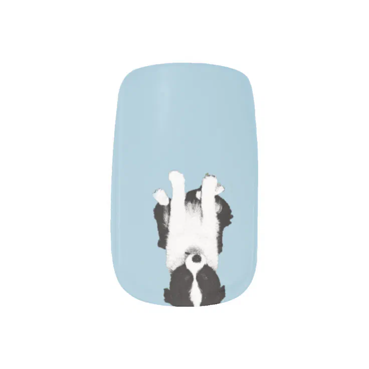 Border Collie Puppy Minx Nail Art Zazzle