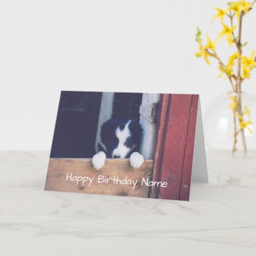 Border Collie Puppy Personalized Birthday Card