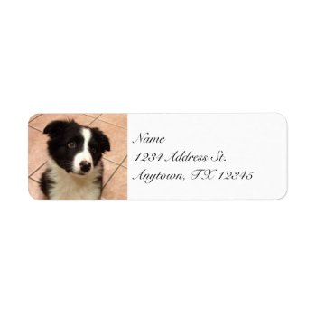 Border Collie Puppy Return Address Labels by aaronsgraphics at Zazzle