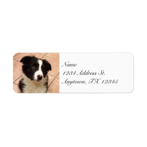 Border Collie Puppy return address labels