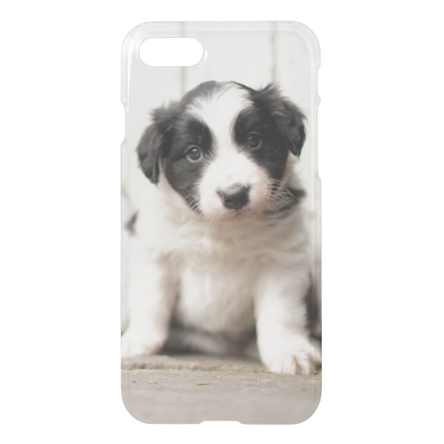 Border Collie Puppy Uncommon iPhone Case (Back)