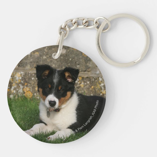 Border hot sale collie keychain