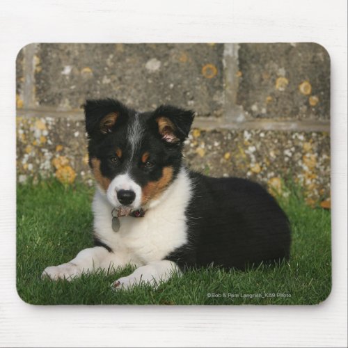 Border Collie Puppy with Leaf in Mouth Mouse Pad
