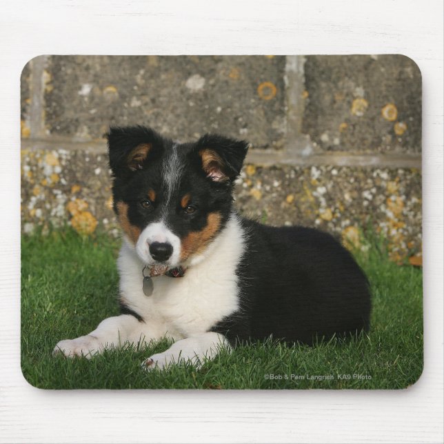 Border Collie Puppy with Leaf in Mouth Mouse Pad (Front)
