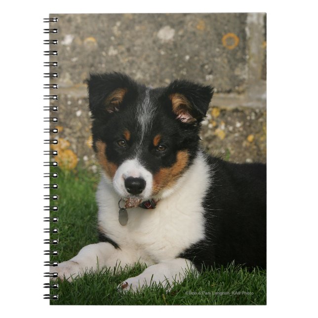 Border Collie Puppy with Leaf in Mouth Notebook (Front)