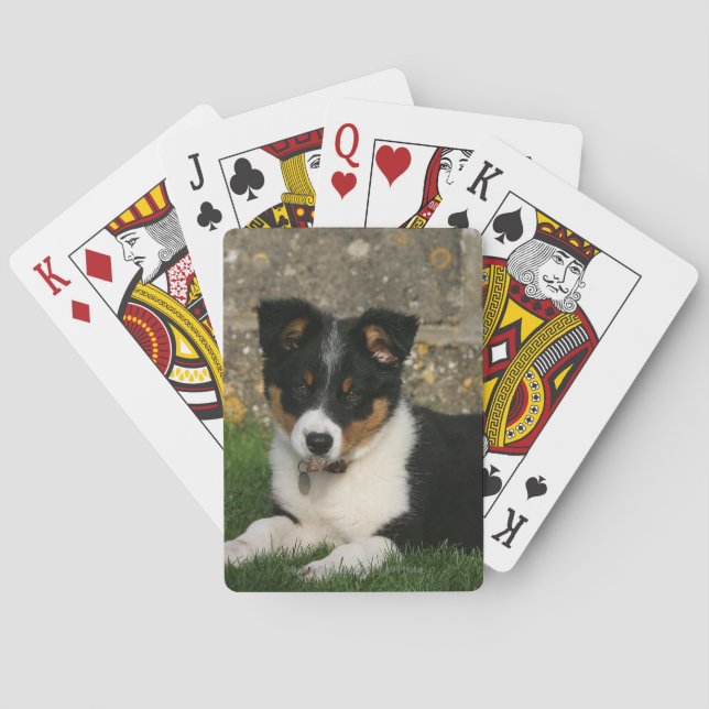 Border Collie Puppy with Leaf in Mouth Poker Cards (Back)