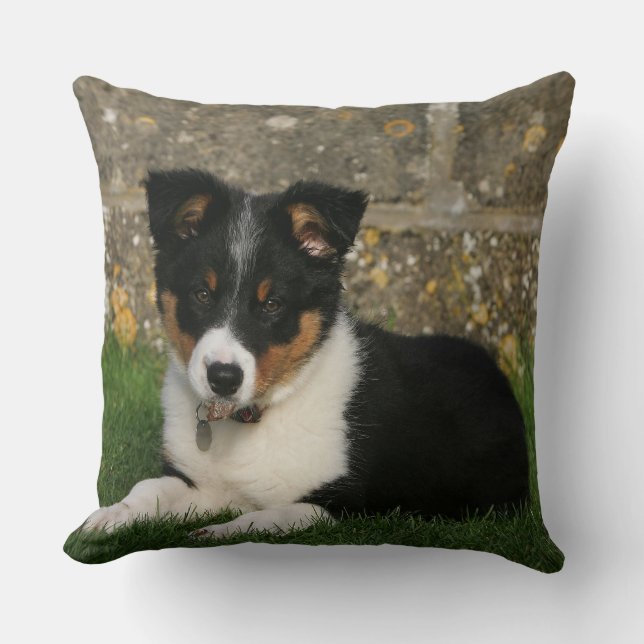 Border Collie Puppy with Leaf in Mouth Throw Pillow (Front)