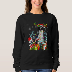 Border Collie Reindeer Christmas Tree Lights Pajam Sweatshirt