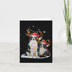 Border Collie Reindeer Santa Hat Xmas Lights Chris Card
