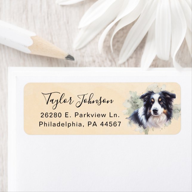 Border Collie Return Address Label (Insitu)
