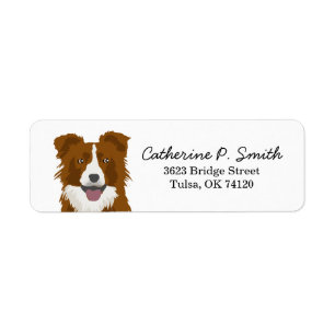 Border Collie Return Address Label