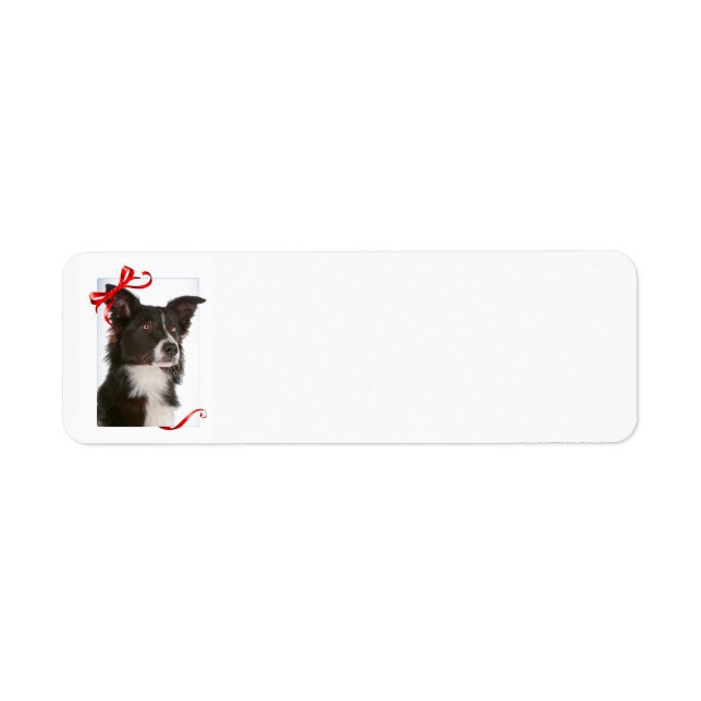 Border Collie Return Address Labels (Front)