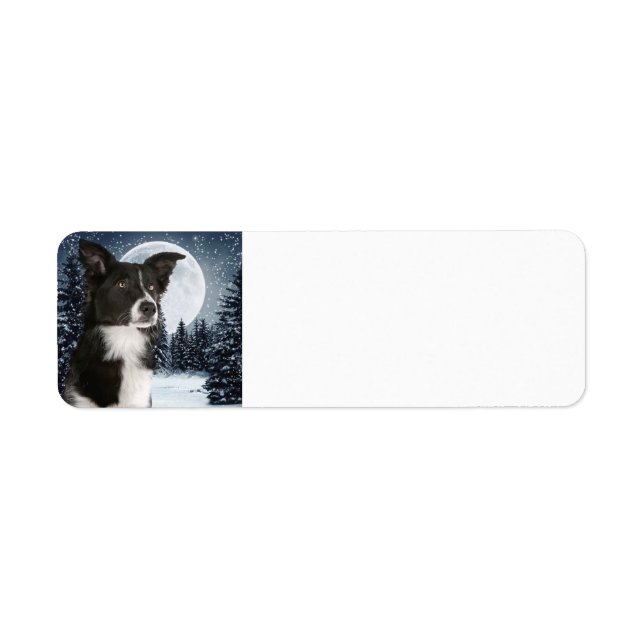 Border Collie Return Address Labels (Front)