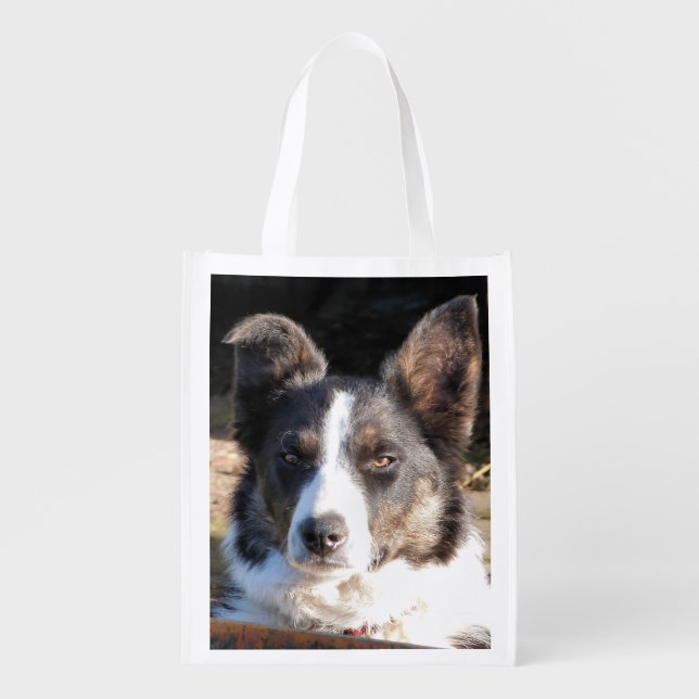 BORDER COLLIE REUSABLE GROCERY BAG (Front)