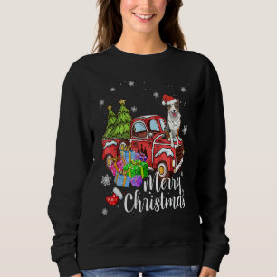 Border Collie Riding Red Truck Xmas Merry Christma Sweatshirt