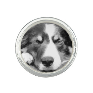 BORDER COLLIE RING