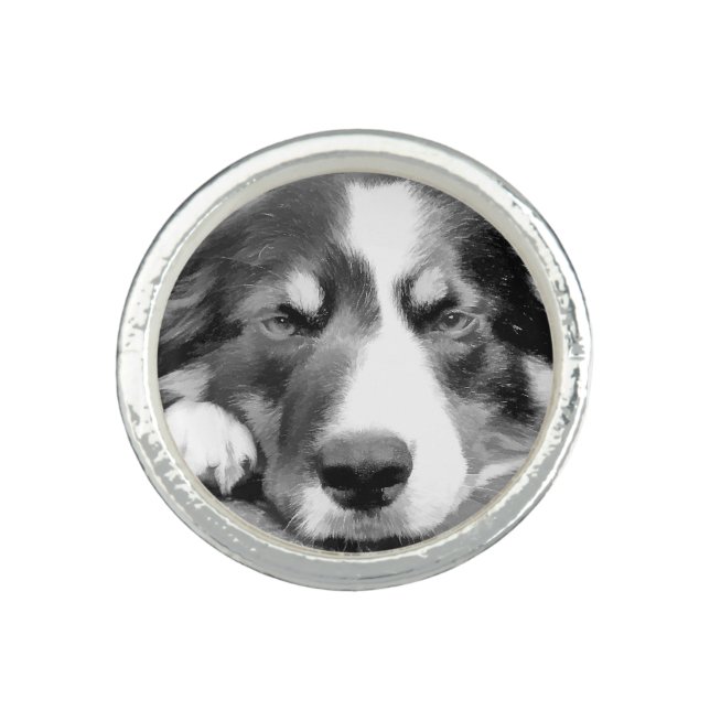 BORDER COLLIE RING (Front)