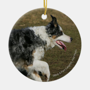 Border Collie Running 1 Ceramic Ornament