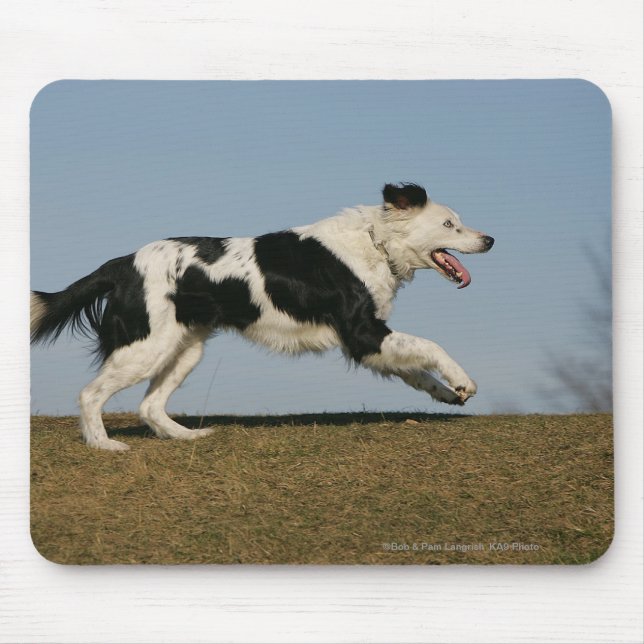 Border Collie Running 2 Mouse Pad (Front)