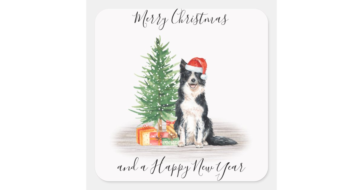 Border Collie Santa Dog Merry Christmas Square Sticker | Zazzle