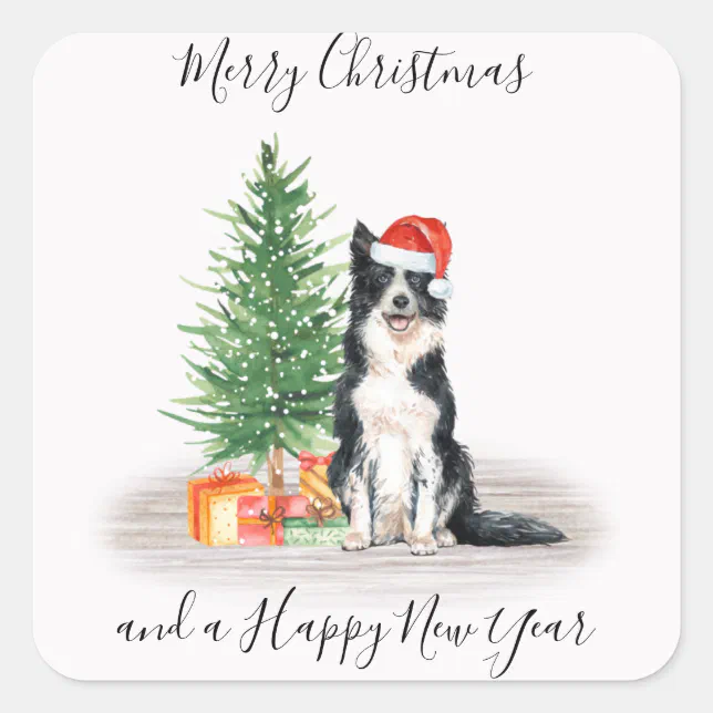 Border Collie Santa Dog Merry Christmas Square Sticker | Zazzle