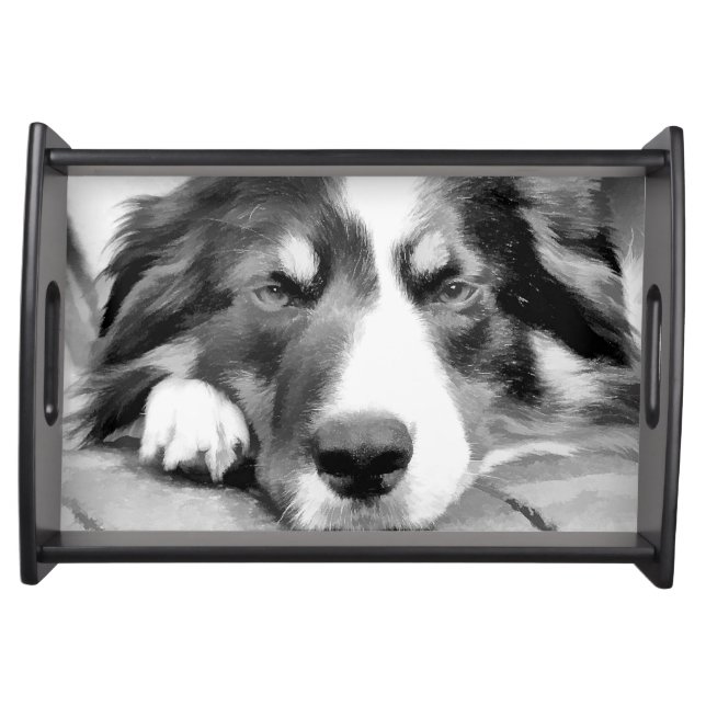 BORDER COLLIE SERVING TRAY (Front)