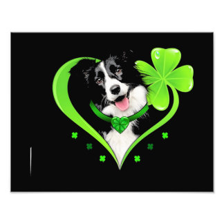 Border Collie Shamrock Heart Photo Print