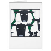 Border Collie & Sheep Blank Card (Front)