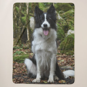 BORDER COLLIE SHERPA BLANKET