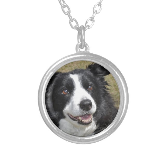 Border Collie Silver Plated Necklace (Front)