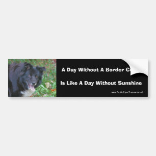 Border Collie Smiling Cute Dog Bumper Sticker