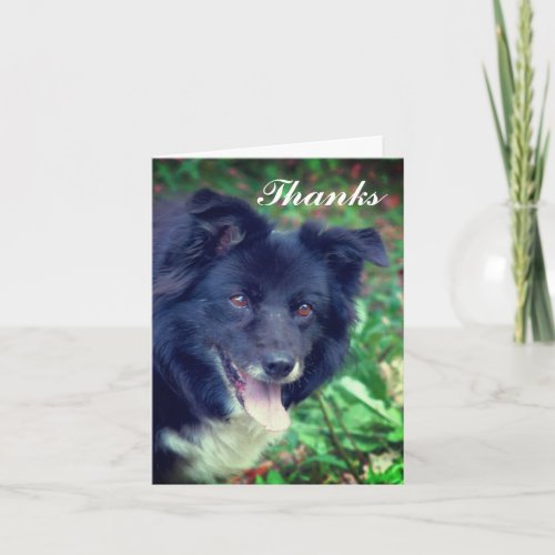 Border Collie Smiling Cute Thank You Card