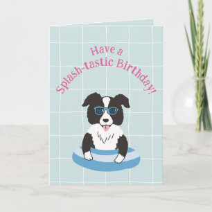 Border Collie Splash-tastic Birthday Card
