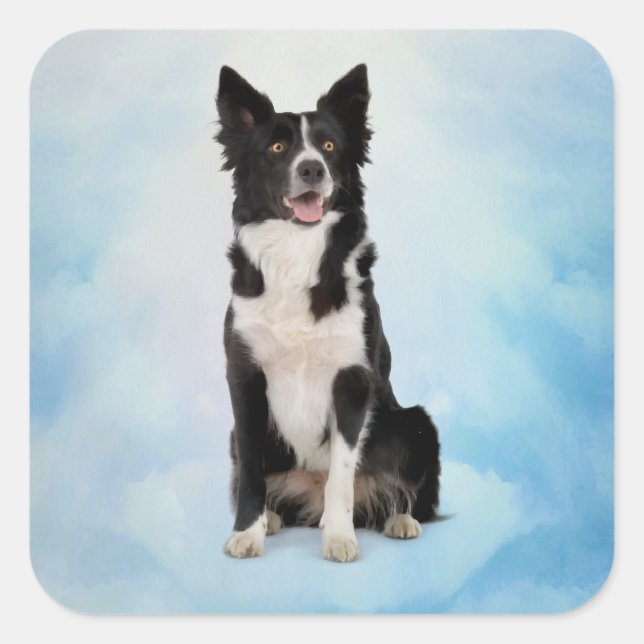Border Collie Square Sticker (Front)