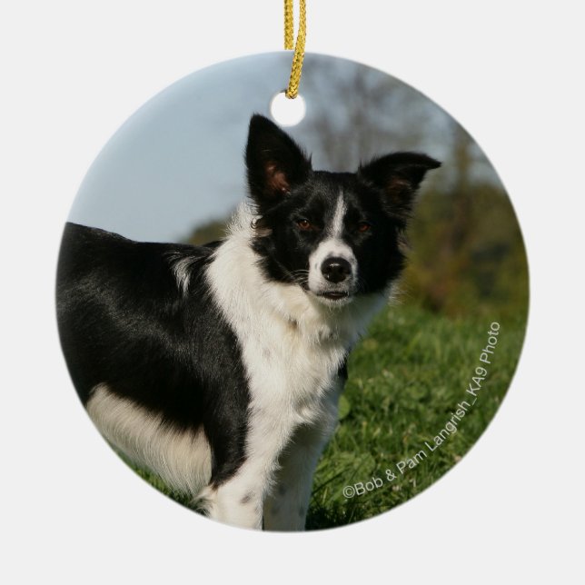 Border Collie Standing Ceramic Ornament (Front)
