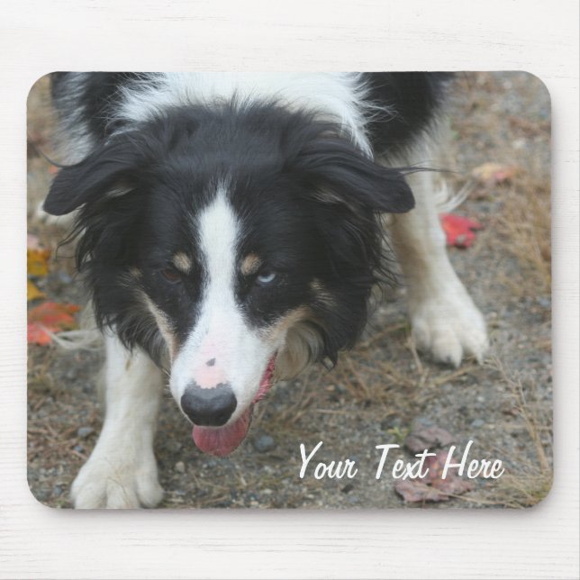 Border Collie Stare Dog Mousepad (Front)
