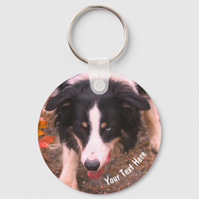 Border Collie Stare Dog Personalized Keychain (Front)
