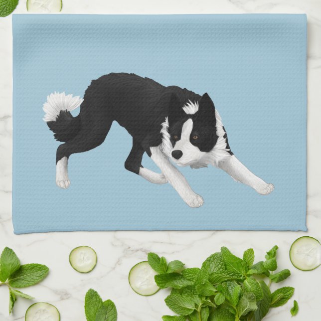 Border Collie Stare Towel (Folded)