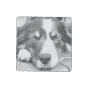 BORDER COLLIE STONE MAGNET