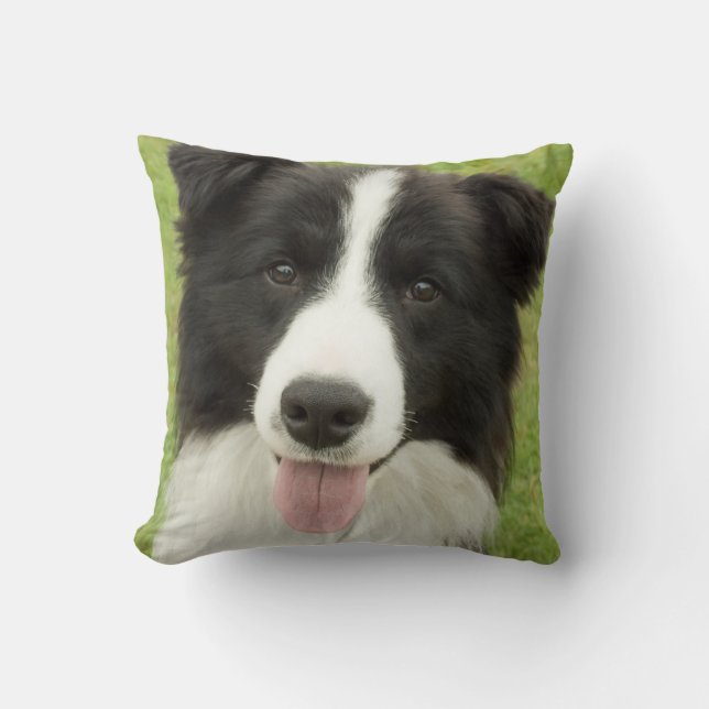 Border Collie Throw Pillow (Front)