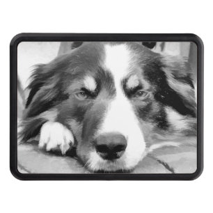 BORDER COLLIE TRAILER HITCH COVER