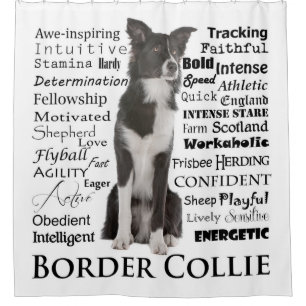 Border Collie Traits Shower Curtain