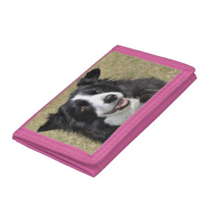 Border Collie Tri-fold Wallet