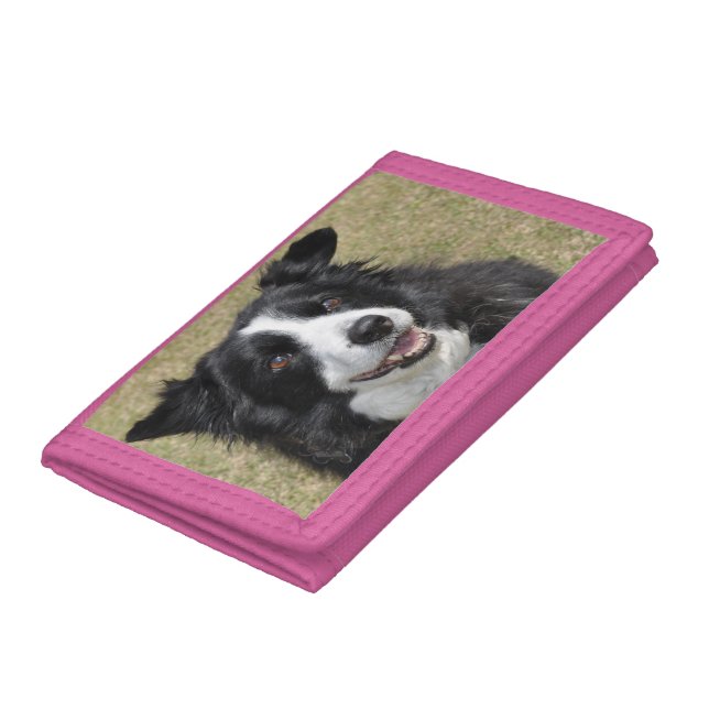 Border Collie Tri-fold Wallet (Bottom)