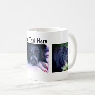 Border Collie Trio Dog Photography Coffee Mug