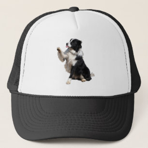 border collie trucker hat