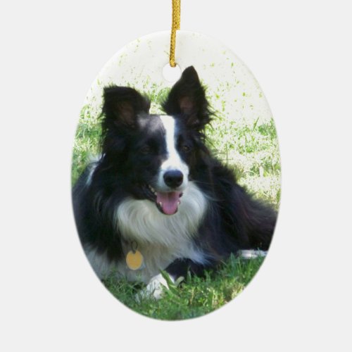 Border Collie Tshirts Ceramic Ornament