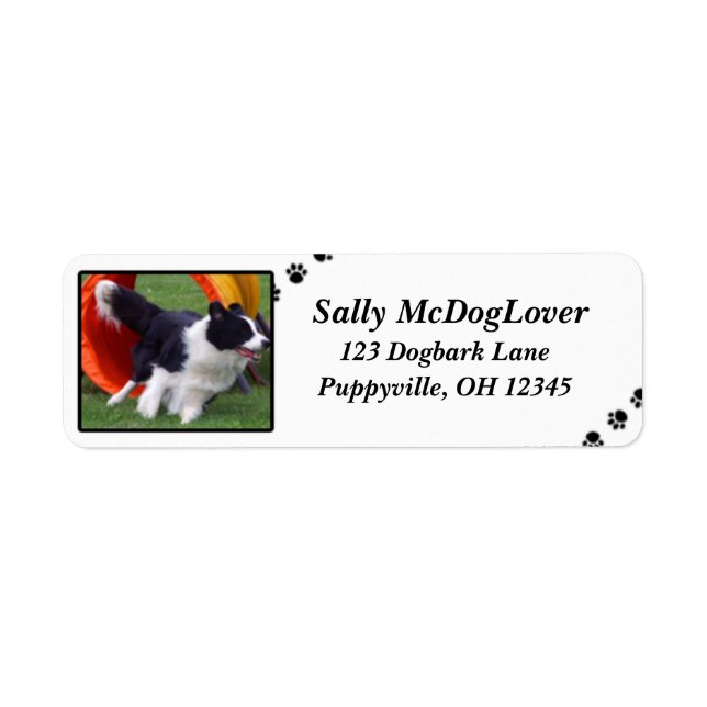 Border Collie Tunnel Agility Label (Front)