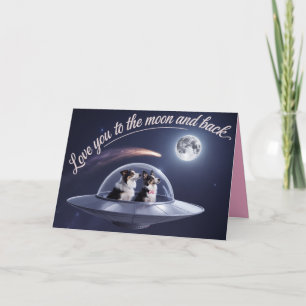 Border Collie Valentine Card