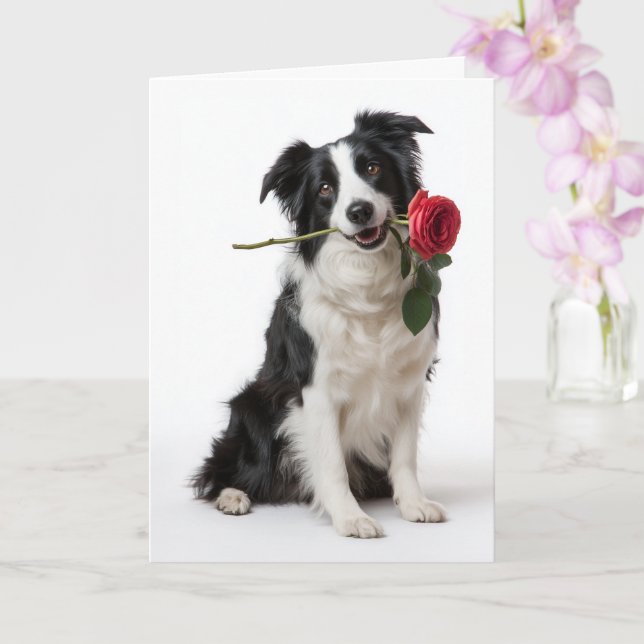 Border Collie Valentine – Devoted Heart Card (Orchid)